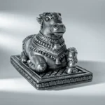 Vahana Nandi - Medium